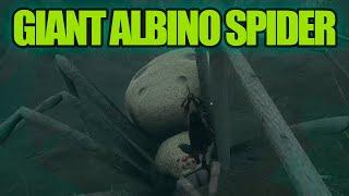 How to beat Giant Albino Spider in Smalland Guide