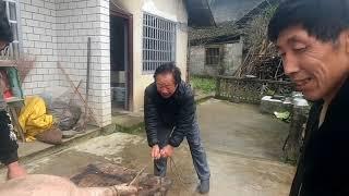 Pig Slaughter - The master slaughter of pigs he has never missed a pig in 30 years