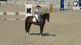 90 см. Открытый класс. Конкур в Днепропетровске. КСК Klimenko Stable. 16.06.2018 г.