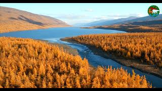 Осень на Аяне. Плато Путорана  Autumn at the Putorana Plateau