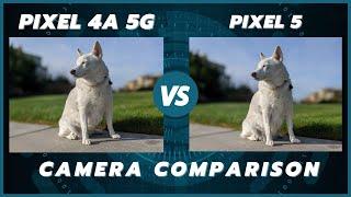 Google Pixel 4a 5G vs Pixel 5 Camera Comparison  Same cameras same results?