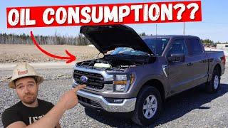 Ford F150 5L COYOTE V8 Engine  Top 5 Issues **Heavy Mechanic Reviews**