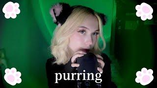 ASMR PURRING замурлычу тебя перед сном purring scratching mouth sounds