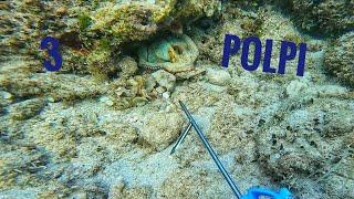 Pesca polpi in apnea con fucile a mano libera in Puglia