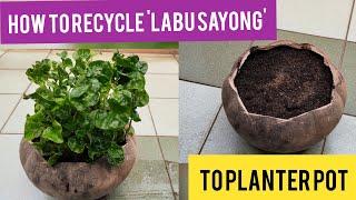 how to recycle labu sayong pottery to planter pot  aktiviti waktu pkp