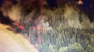 Canada deliberately torches it’s forests and blamed climate crisis for it