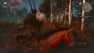 Witcher 3 Wild Hunt  Magic PIGS & Bacons  Simping for TRISS  Death March Difficulty  #12