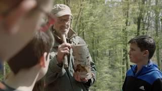 Peter Wohlleben - Hörst du wie die Bäume sprechen? Eine kleine Entdeckungsreise durch den Wald