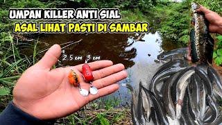 Casting Gabus Haruan Umpan Mini Soft frog 25cm Dan 3cm‼️Umpan Killer Casting Gabus