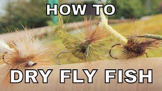 Dry Fly Fishing  How To with Tom Rosenbauer