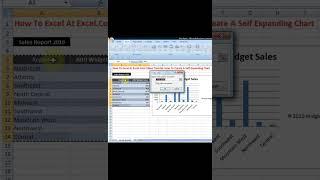 How To Make A Self Expanding Chart In Excel #shorts