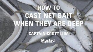 How to Cast Net for Deep Bait Fish  Mustad Fishing