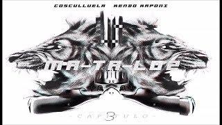 Matalos Capitulo 3 - Cosculluela Ft. Kendo Kaponi ®