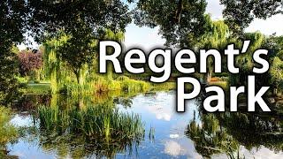 Regents Park - London