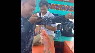 Spot mancing di sibolga kurisi bantal tenggiri kakap merah