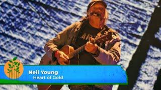 Neil Young - Heart of Gold Live at Farm Aid 2023