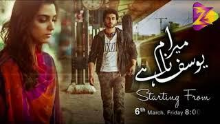 Tu Mera nahi  Mera Naam Yousuf Hai  OST Full Lyrics