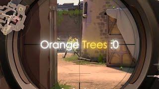 Orange Trees - Valorant Edit