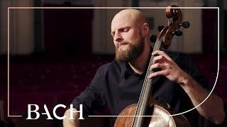 Bach - Cello Suite no. 2 in D minor BWV 1008 - Pincombe  Netherlands Bach Society