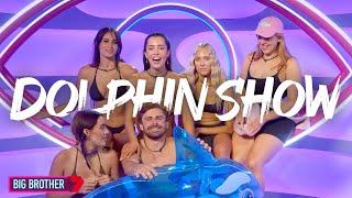 Caught in a Lie Zachs Dolphin Trainer Charade Exposed by Big Brother  Big Brother Australia