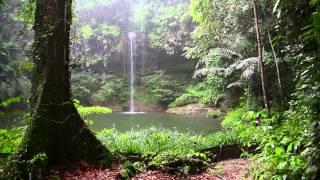 Natur Meditation - Regenwald Sounds und Regen