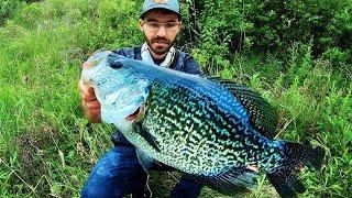 The BIGGEST CRAPPIE EVER CAUGHT on VIDEO?