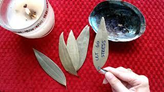 HOW TO BURN BAY LEAVES for Anxiety Burn Bay Leaves to Remove Negative Energy Fear and Stress