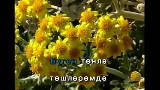 Борлегэн.Татарча Караоке  Татарская народная песня