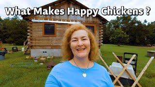 3 Ways To Make Your Chickens Happy happy chickens lay more eggs