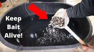 Keep Bait Alive ALL Winter Long How to Minnow Tank Build DIY