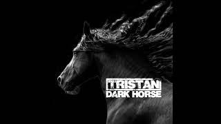 TRISTAN - Dark horse Katy Perry cinematic cover