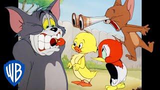 Tom & Jerry  Animal Kingdom  Classic Cartoon Compilation  WB Kids