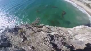 El Morro Cliff Jump - To Be Continued JoJo