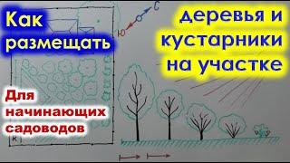 РАЗМЕЩЕНИЕ ДЕРЕВЬЕВ и кустарников на участке