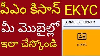 Pm kisan Ekyc in mobile 2024pm kisan e-kyc process in telugu #pmkisan #ekyc