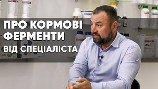 Ферменти для комбікорму кормові добавки раціону тварин і птиці. Призначення застосування.