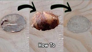 How to Repair a Hole from Wood Rot With Wooden Dust  Woodworking Ideas