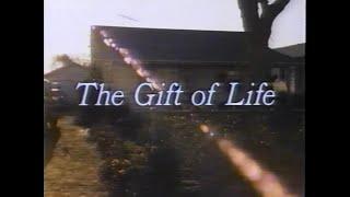 The Gift of Life TV Movie - 1982 - Susan Dey as Surrogate Mother