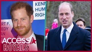 Prince Harry Reveals Alleged Physical Altercation With Prince William In New Book Report