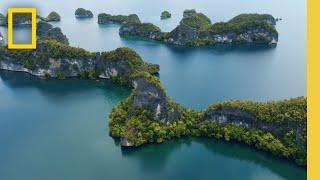 Raja Ampat The Last Stronghold of Healthy Coral Reefs  National Geographic