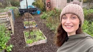 Welcome to My Little Allotment introduction & first ever plot tour ‍