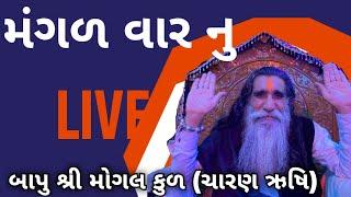 બાપુ શ્રી લાઈવ પ્રસારણ Bapu Shree interview  Mogal Dham Kabrau Katch મોગલ ધામ કબરાઉ #mogal #maa