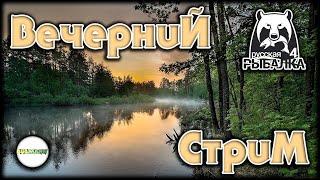 РУССКАЯ РЫБАЛКА 4 RUSSIAN FISHING 4 - ВЕЧЕРНИЙ СТРИМ.