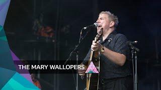 The Mary Wallopers - Frost Is All Over Glastonbury 2024
