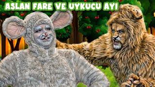 Aslan Fare ve Uykucu Ayı   Yeni   Adisebaba Masallar