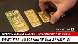 Harga Emas Global Bisa Capai 2 Juta per Gram Jawa Timur Bisa Kaya Karena 7 Kabupaten Punya Emas?