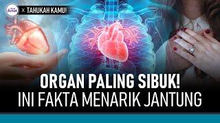 Fakta Menarik Jantung Manusia Organ yang Tak Pernah Berhenti Bekerja  Hidup Sehat tvOne