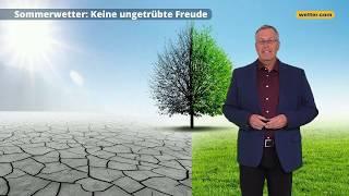 NOAA Sommerprognose 2019 Keine ungetrübte Freude