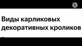 виды домашних кроликов.