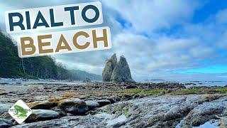 The Best Beach at Olympic National Park  Family Travel Olympic Peninsula